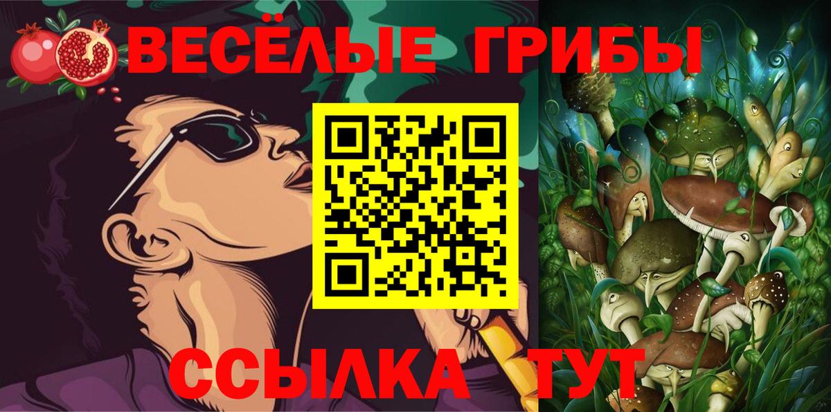 Галлюциногенные грибы прущие грибы  Галлюциногенные грибы Psilocybine cubensis  Богданович  Вход с VPN 
